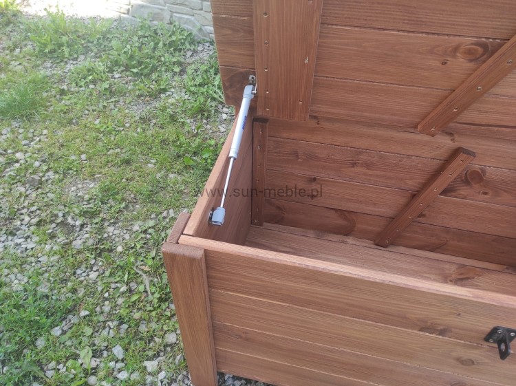 SEKWOJA KALIFORNIJSKA MAT