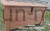 kolor SEKWOJA KALIFORNIJSKA