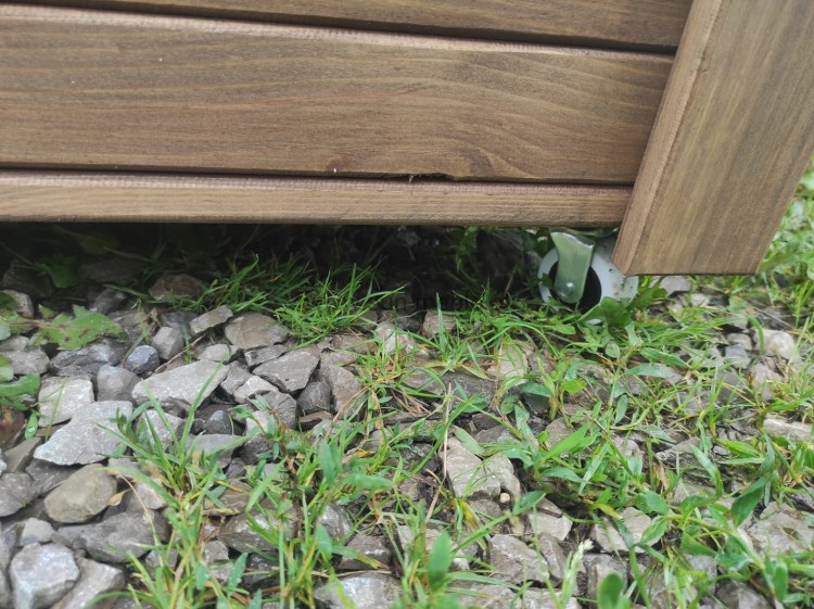 PALISANDER KRÓLEWSKI