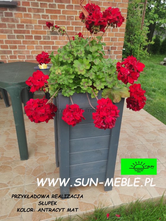 PRZYKŁADOWA REALIZACJA DONIC