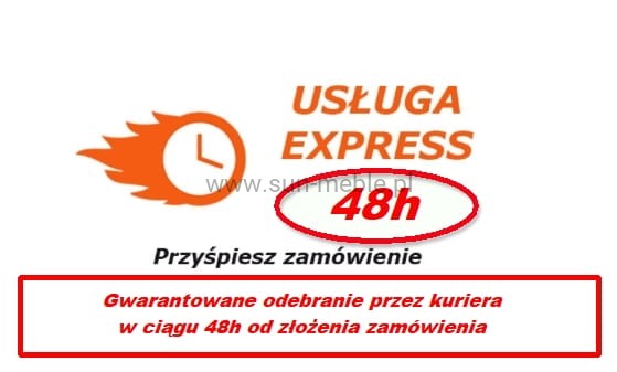 USŁUGA EXPRESS 48h